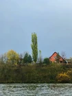 Вода за неделю остыла... (фото #26645)