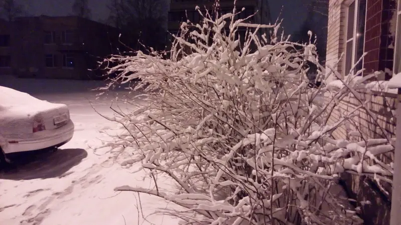 Вот такая весна. Вид на улицу в ночь на 14.04. Весь день шел снег, да и ночью — тоже шел. А я...
