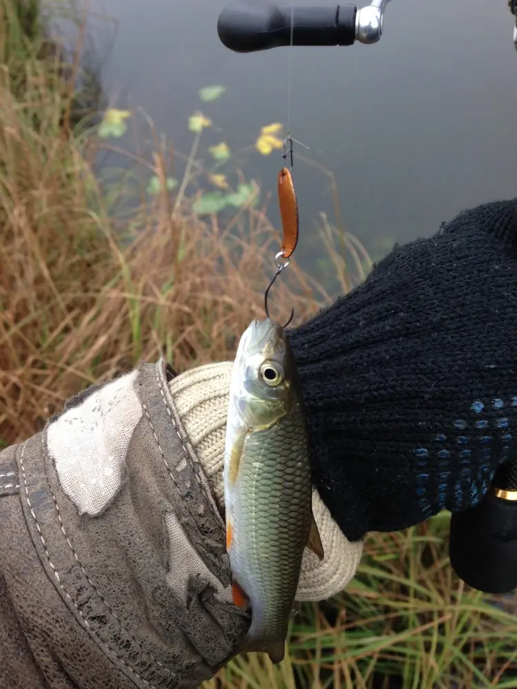 Затем ставлю 0,7гр. Обновку под нозванием Fire ball от Mukai fishing. Собственно, какая приманка...