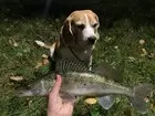 Продолжаем