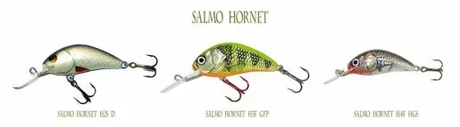 Salmo Hornet