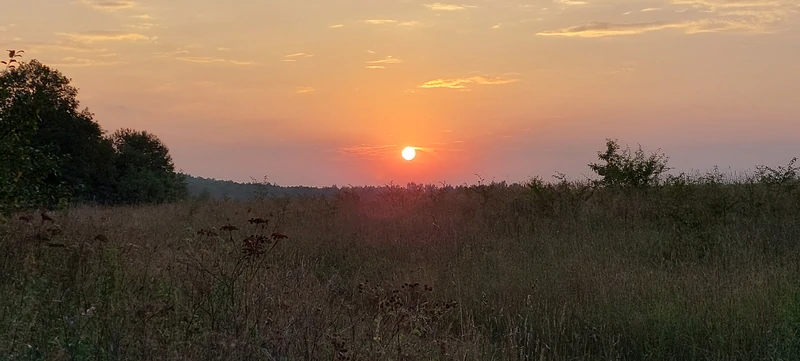 Закат на дачном пруду.