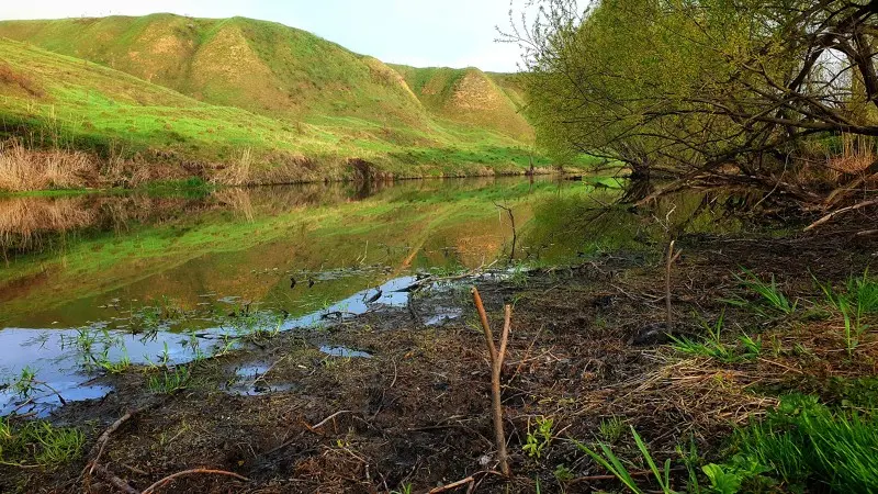 Эван водички убавили!