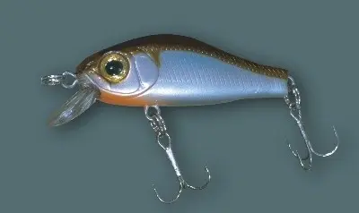 Zipbaits RIGGE 35F