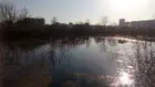 Наше «домашнее» озеро Васильевское.