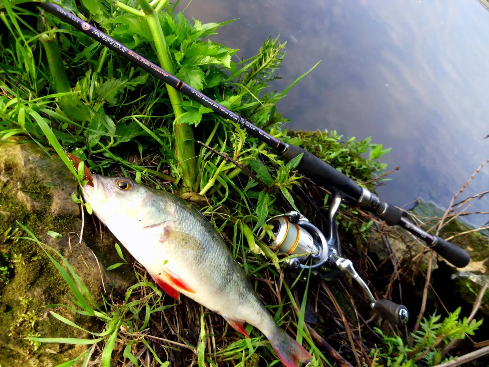 Что такое бровка в рыбалке на реке