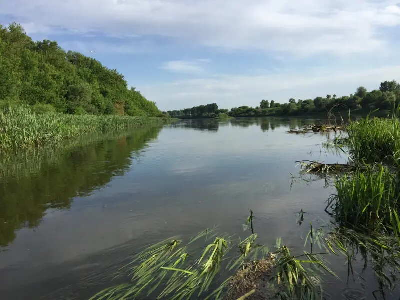 Воронежская область, Семилукский район, река Дон.