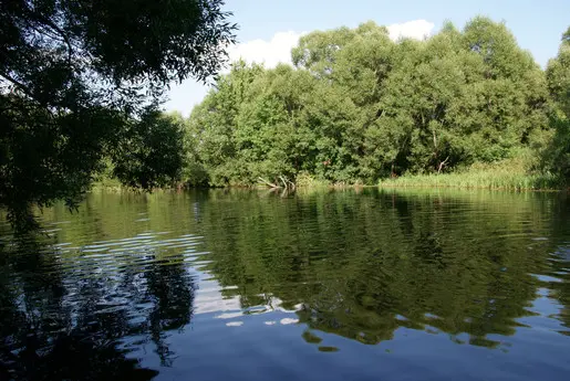 Глоток воды в пустыне знойной