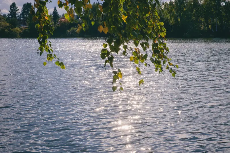 Солнце, ветер, вода