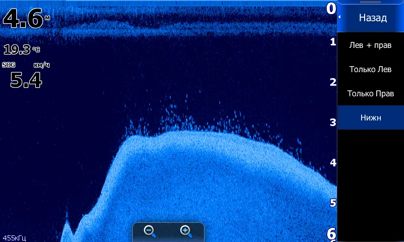 Окунь на DSI. Скриншот с аппарата HDS-9 Gen2 Touch