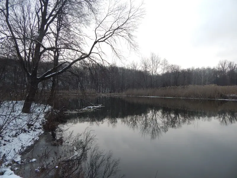 Зимняя река излучает удивительное спокойствие...