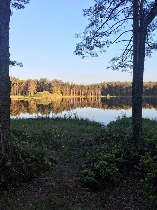 Вечер на лесном озере