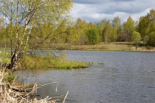 Больше похоже на осень, так и не скажешь что май