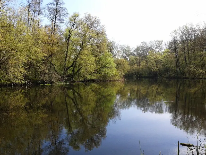 Тече вода, тече холодна