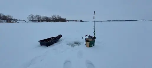 Февральское хокку...