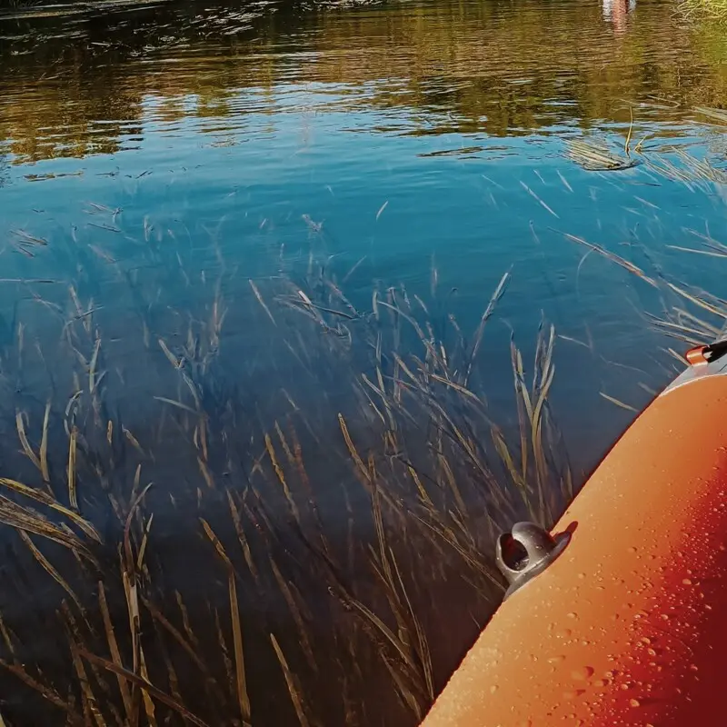 Вода на редкость прозрачная