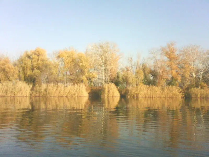 Березы желтою резьбой, блестят в лазури голубой...