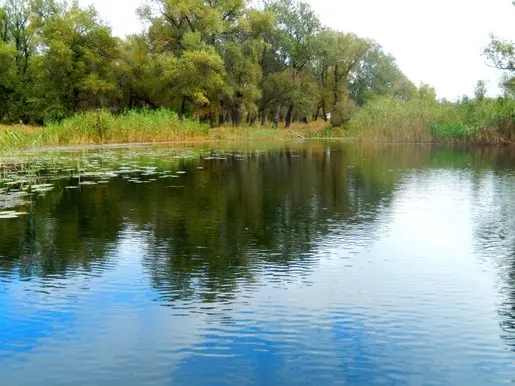 Излучина реки Кумылги. (10.09.14)