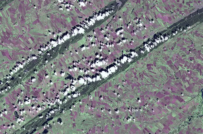 Снимок из космоса ленточных боров над которыми зарождаются облака