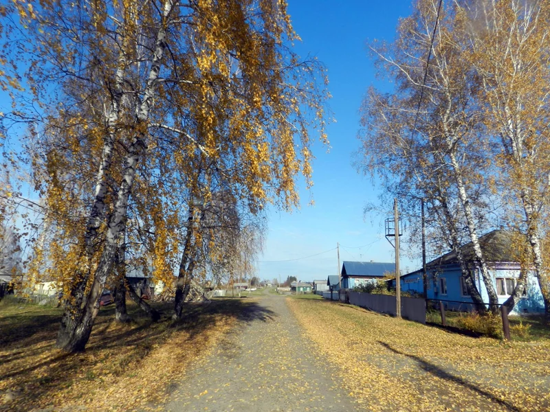 Обычная сибирская деревенька начала 21-го века