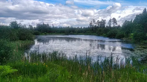 Мое линолеумное открытие