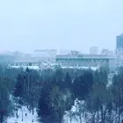 Это первый снег... (фото #5980)