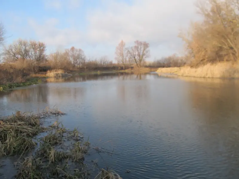 В Дону ловить тяжело, много води и очень сильное течение, поэтому перешли на обводной канал, тут...