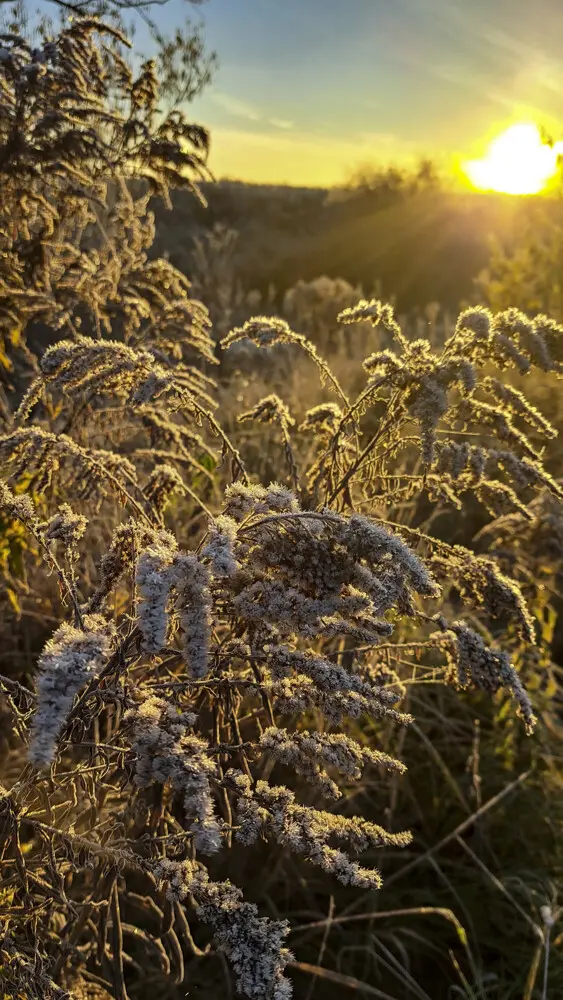 Рассвет