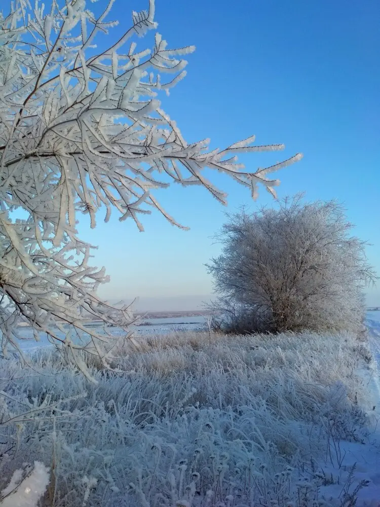 Сегодня и вчера