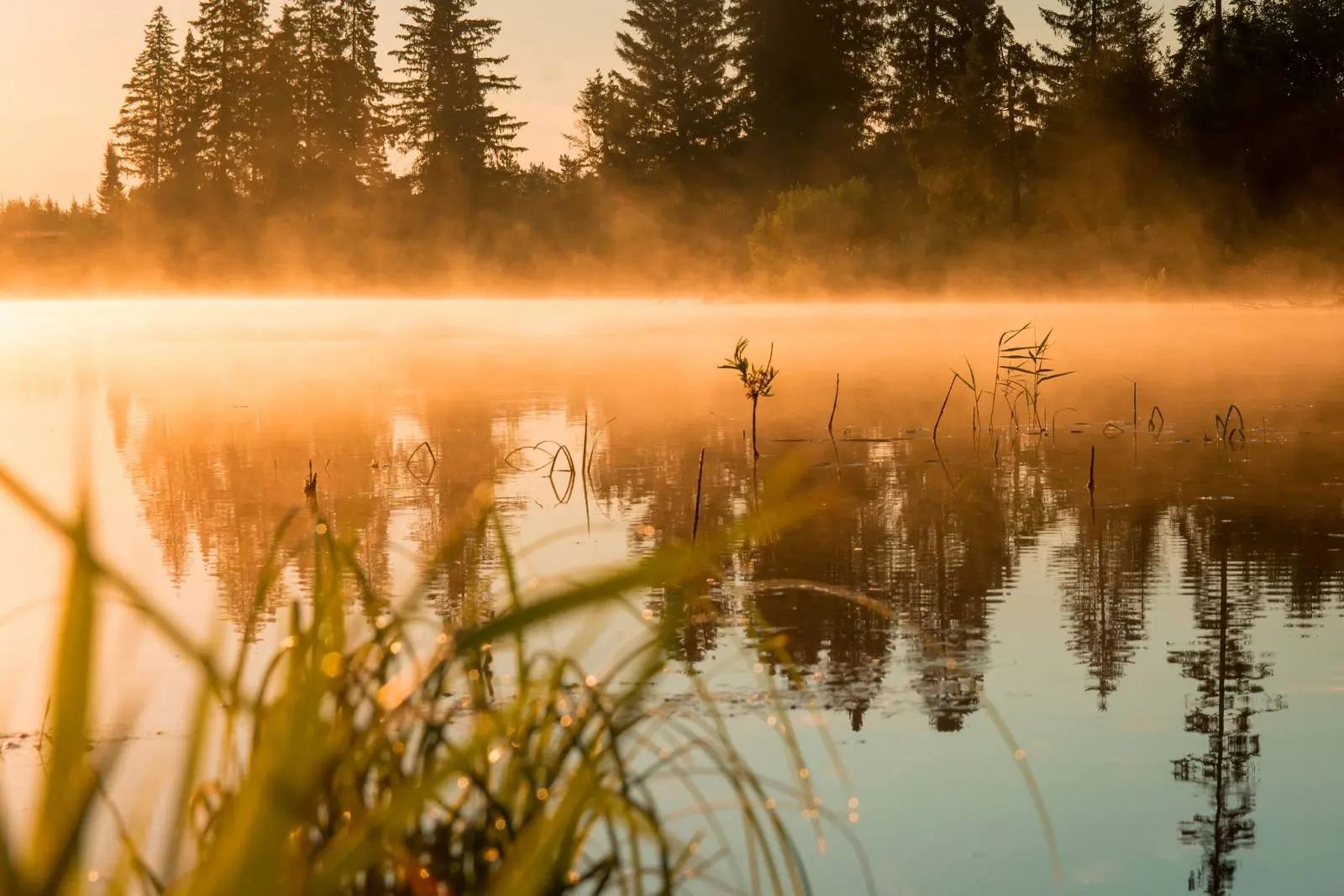 Утро, рассвет и щука – отчеты о рыбалке