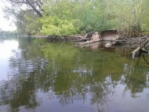 Без названия