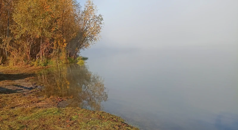 Утро туманное