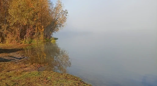 Утро туманное