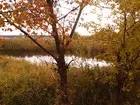 Основянское озеро. Осень.