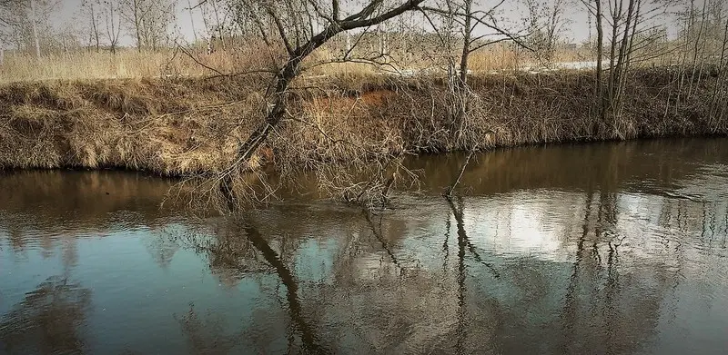 Пехорка, весна.