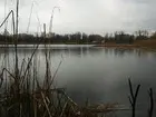 «Домашнее» озеро