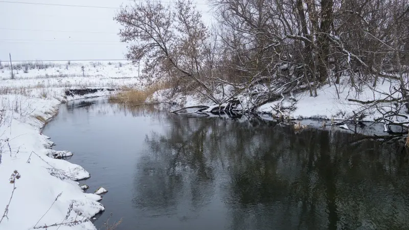 Тут есть, где рыбу поискать