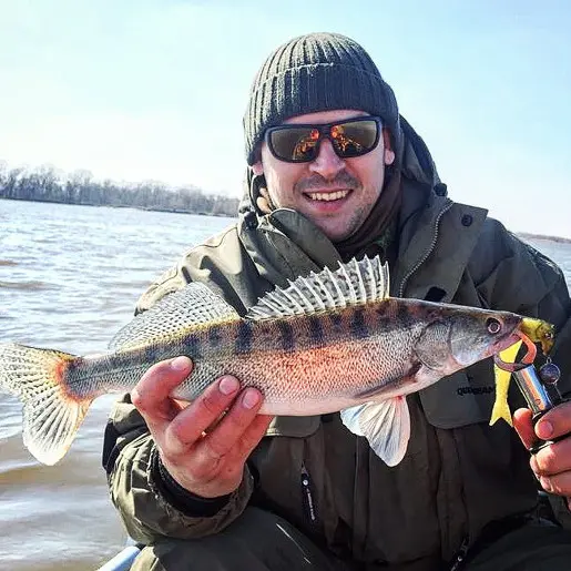 Сула в мутной воде