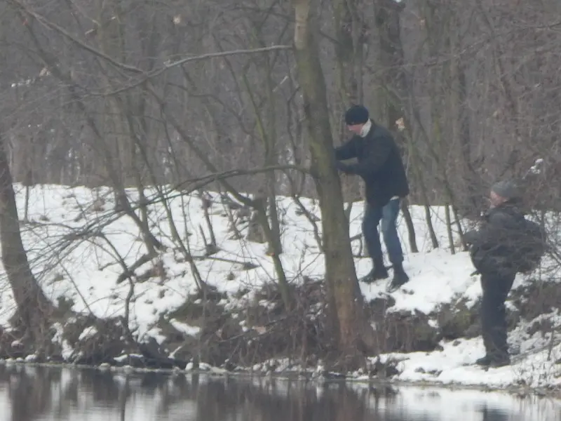 Операция по освобождению блесны из лап дерева :)