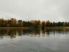 Финский Залив. Октябрь 2019