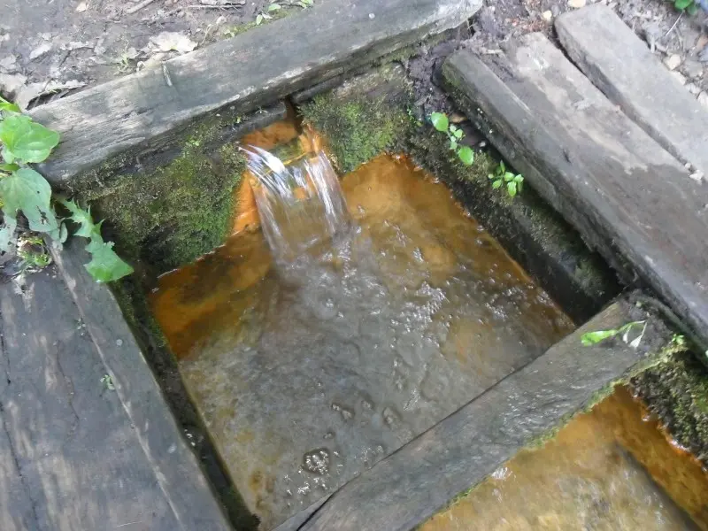 весь секрет — большое колличество железа в составе этой воды