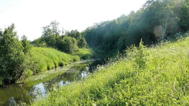 Кашинка в верховьях.