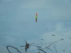 Хорошо порыбачили... (фото #25346)