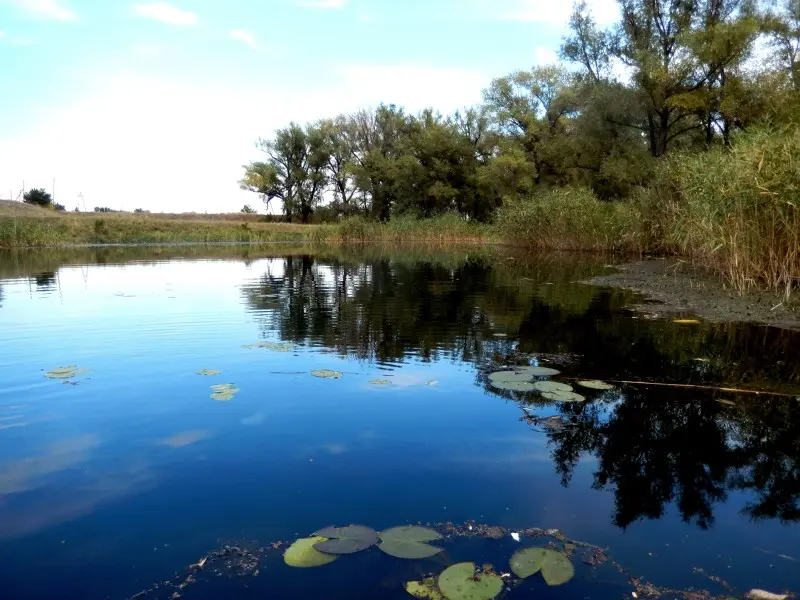 В полдень, на речке Кумылга. (10.09.14)