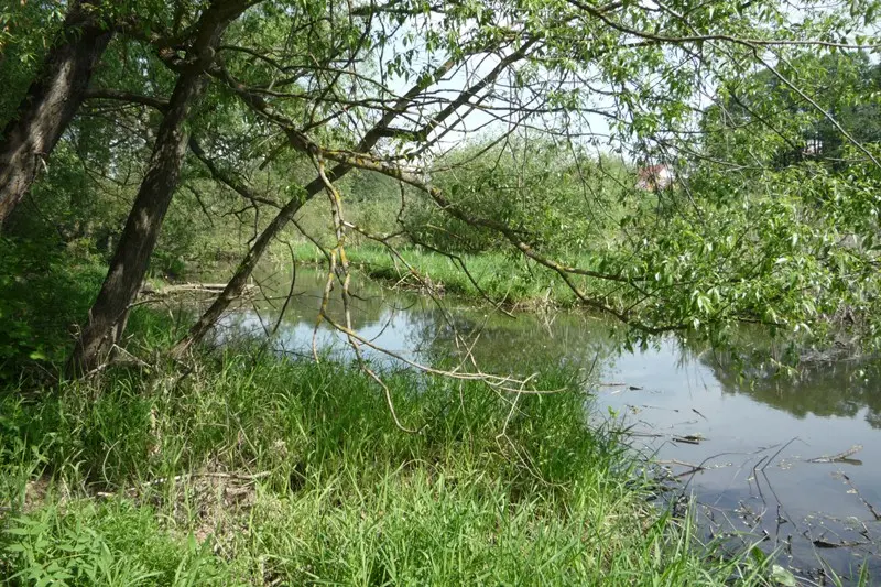 Вот в таких заужениях можно вытащить киллограммовую щучку