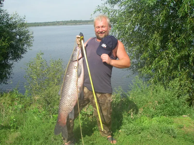 Остались ещё и такие экземпляры на моей Родине.Очень редко, но попадаются.Пойман после...