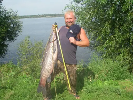 Тульский амурчик