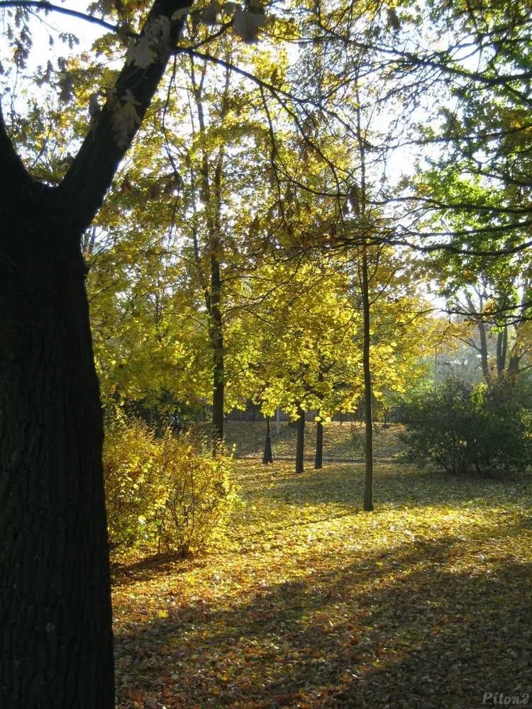 Осень в Александровском саду.