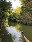 Записки о рыбалке