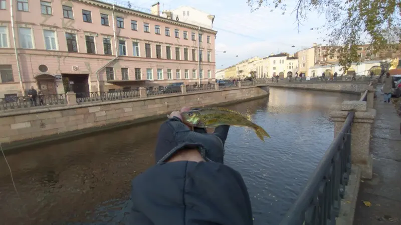 Первый и последний в этом месяце выходной. Не пойти на рыбалку было ну никак низзя. Поехал в...